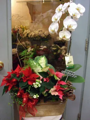 Christmas No.67,faux bloom stem 