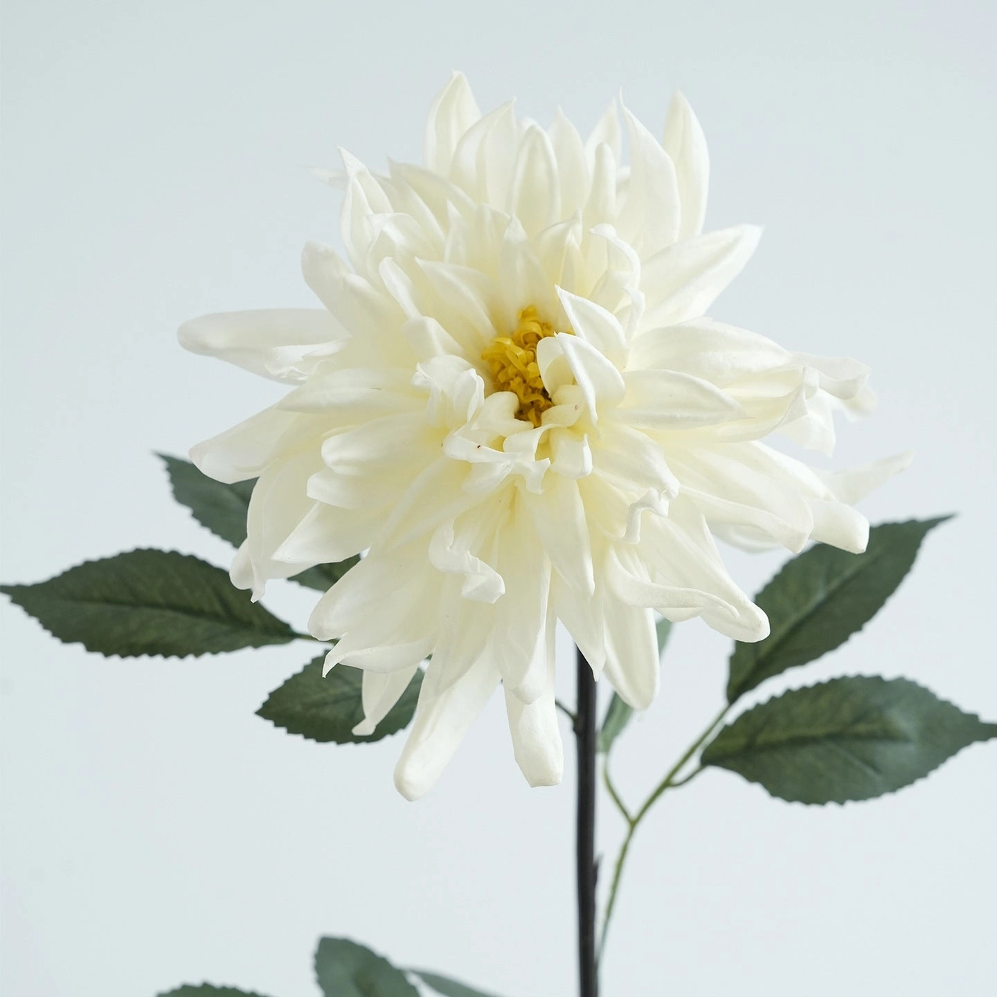 Chrysanthemum Real Touch Artificial Silk Flower 73cm Stem CHRYS01-04,dried artificial flower