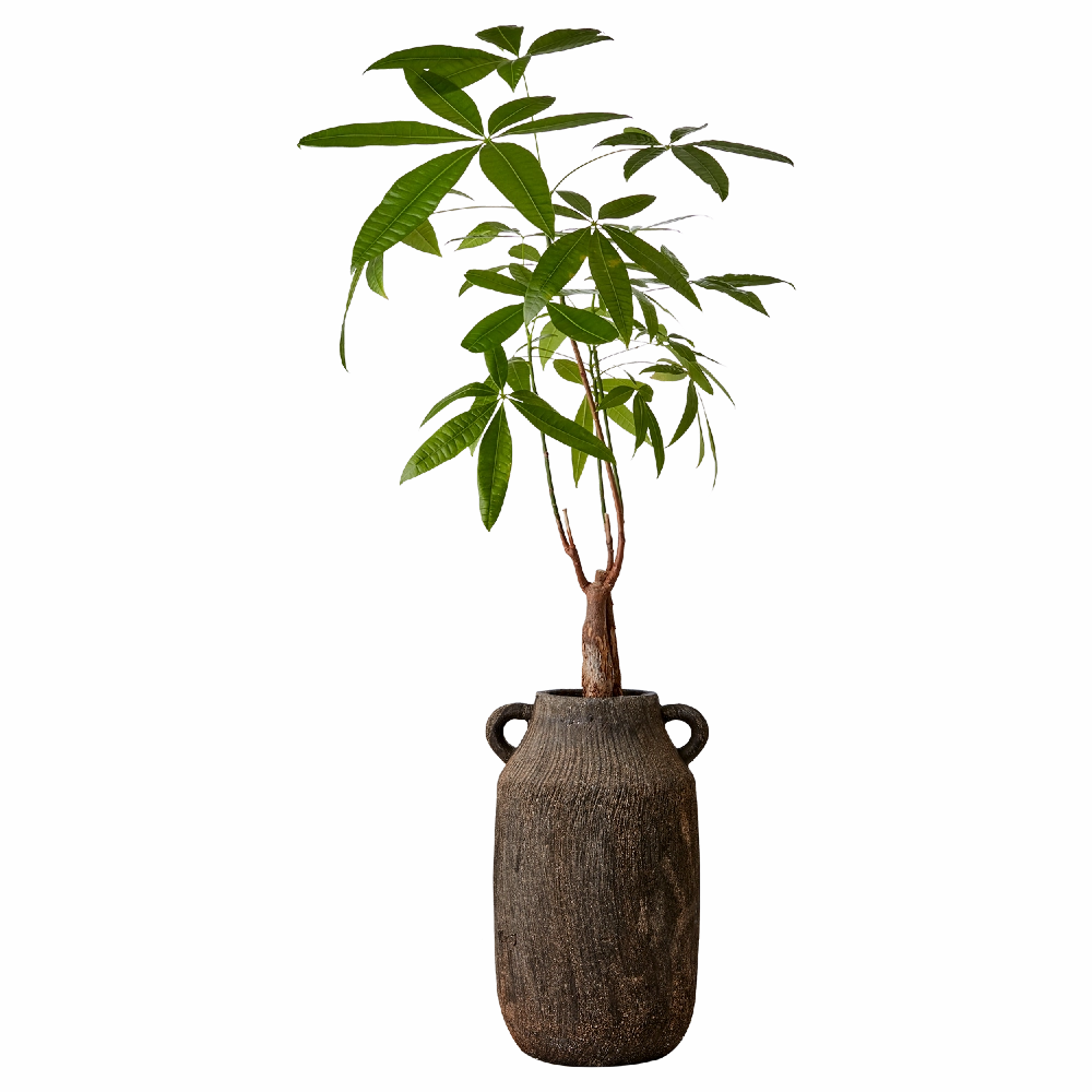 Cino Large Pot - Brown 37cm
