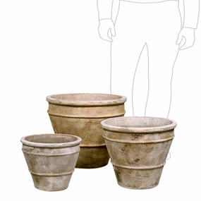 Citrus Pot - Antiqua,terracotta plant pot