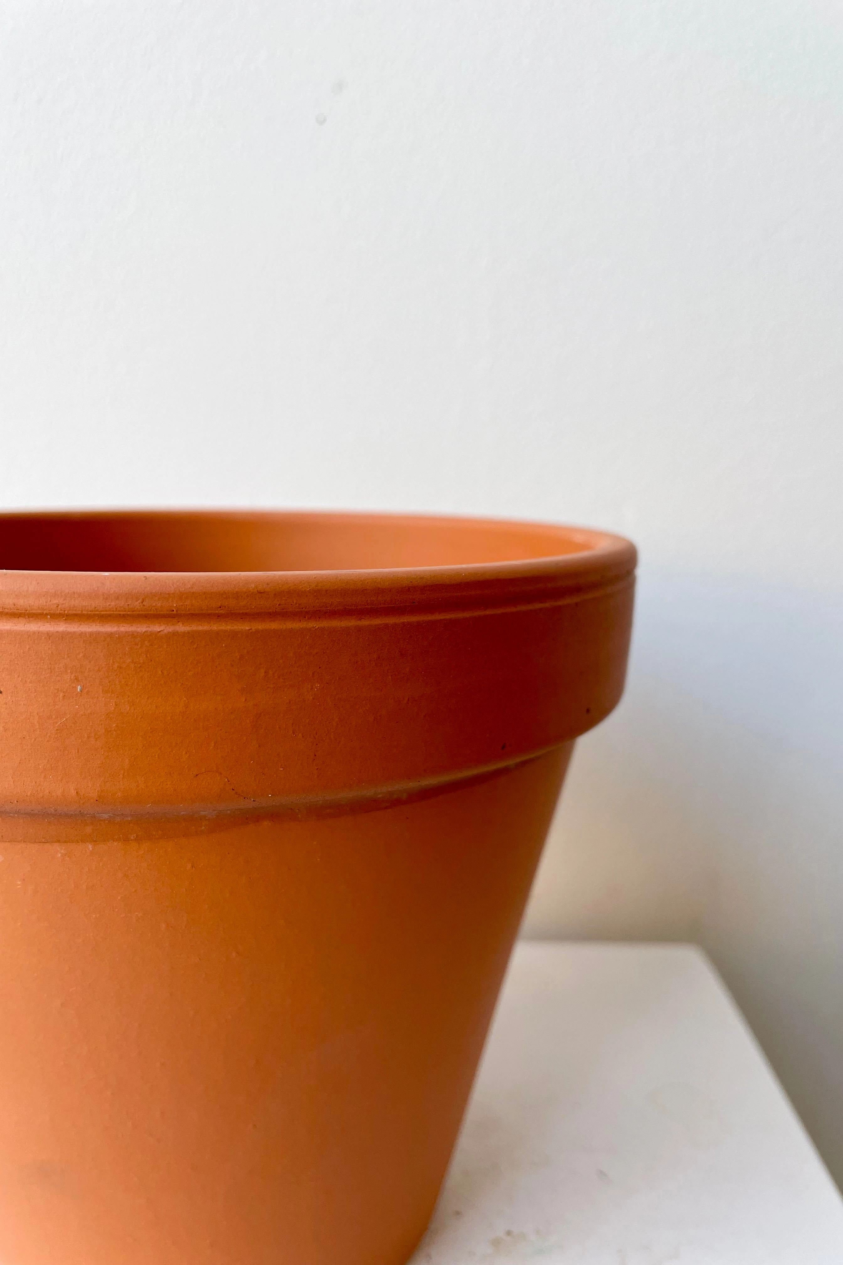 Clay Pot Red 6"
