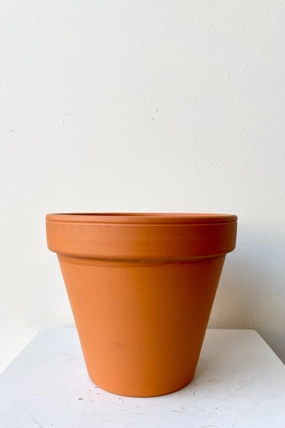 Clay Pot Red 6",indoor flower container