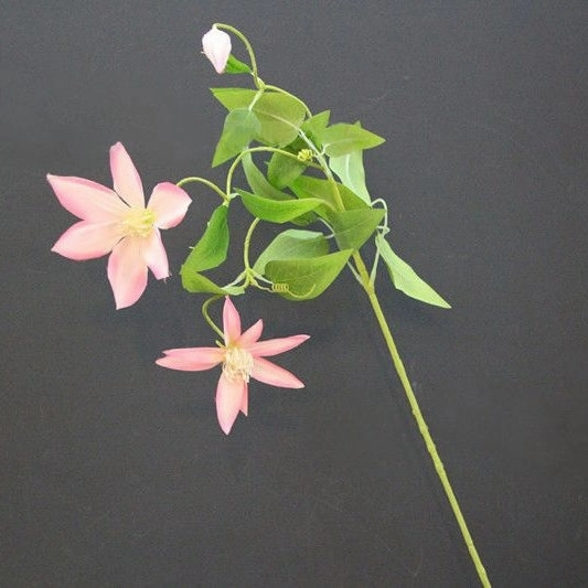 Clematis 70cm Artificial Silk Flowers Stem CLEMATIS001-004