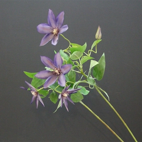 Clematis 70cm Artificial Silk Flowers Stem CLEMATIS001-004,dried artificial flower