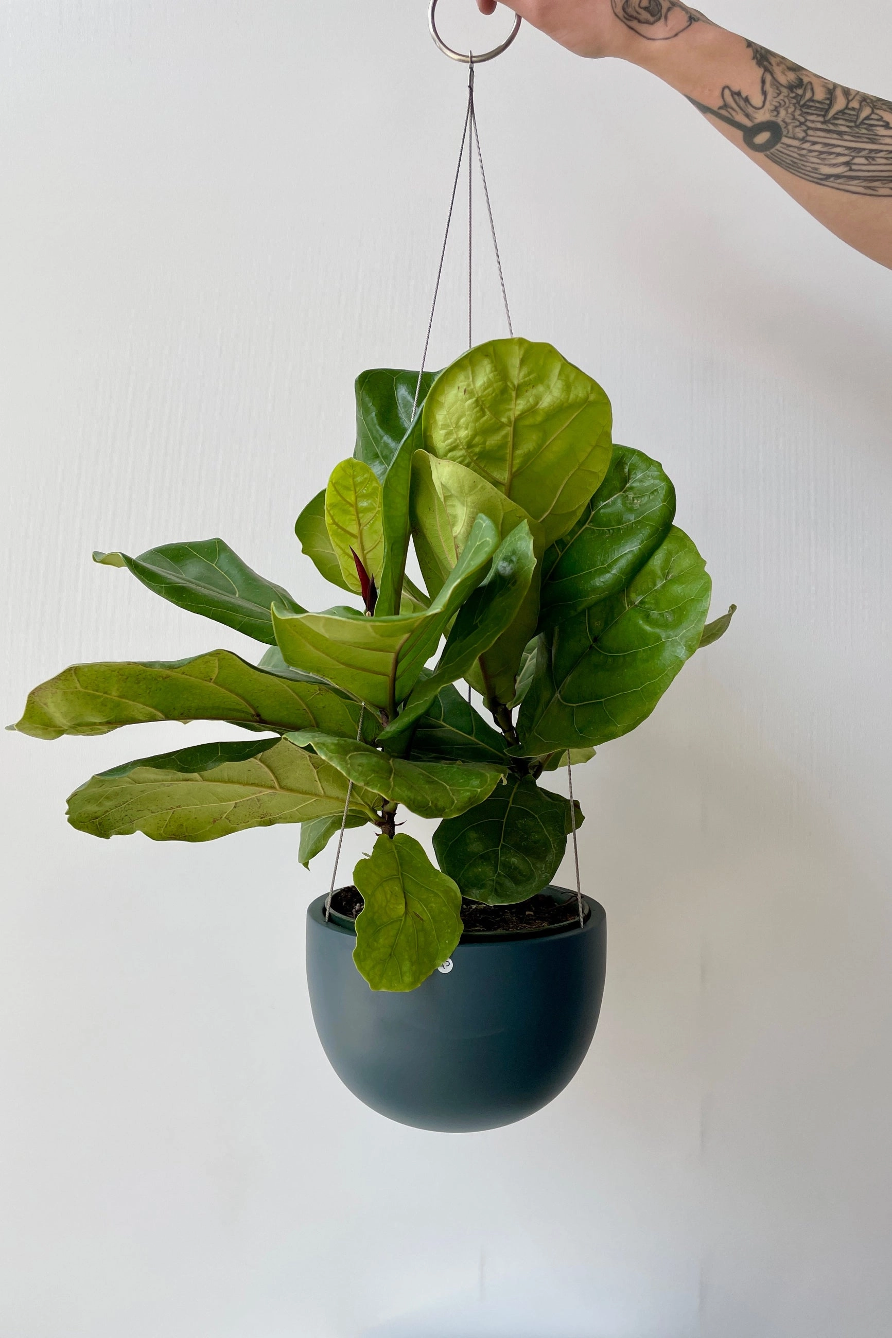 Clifton Matte Deep Blue Hanging Pot Small