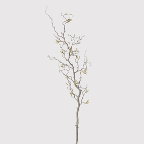 Contorted Willow Branch with Catkins 115cm,dried artificial flower