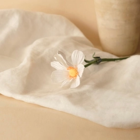 Cosmos en papier blanc,mother's day bouquet