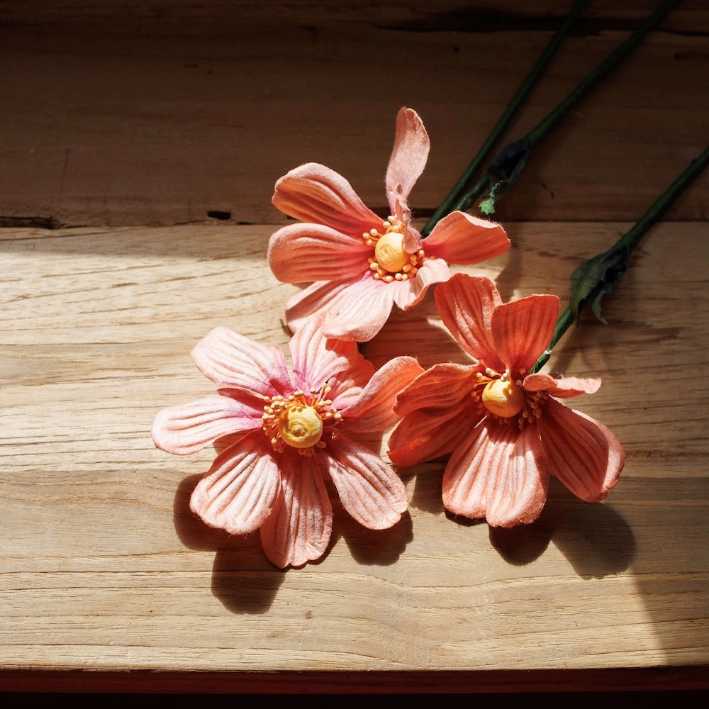 Cosmos en papier pche