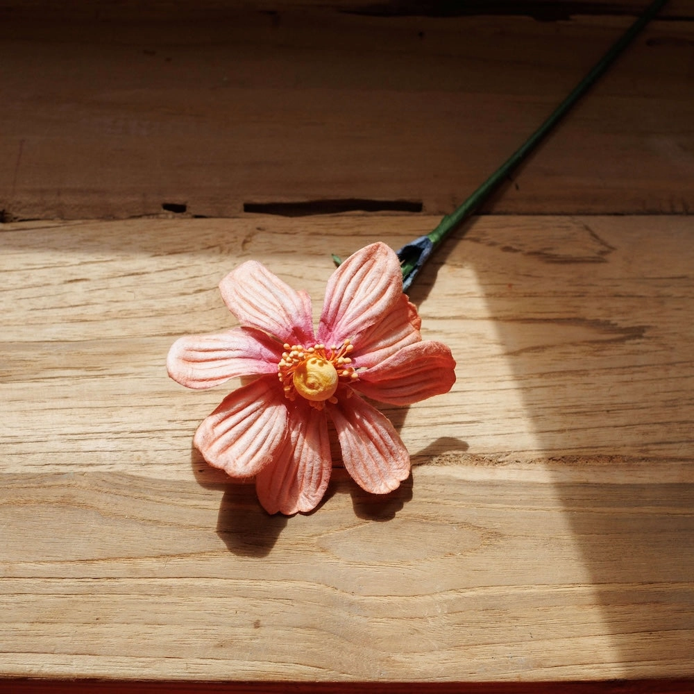 Cosmos en papier pche