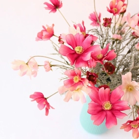 Cosmos Flower Artificial Silk 60cm 15 Colour Selections COSMO001-022,dried artificial flower