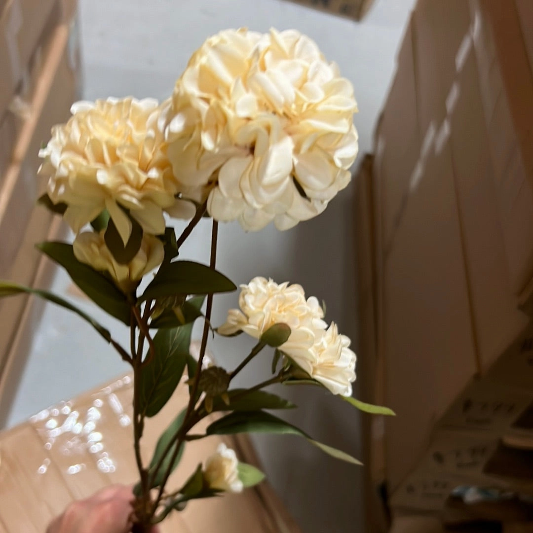 Cream Fall ball Dahlia spray