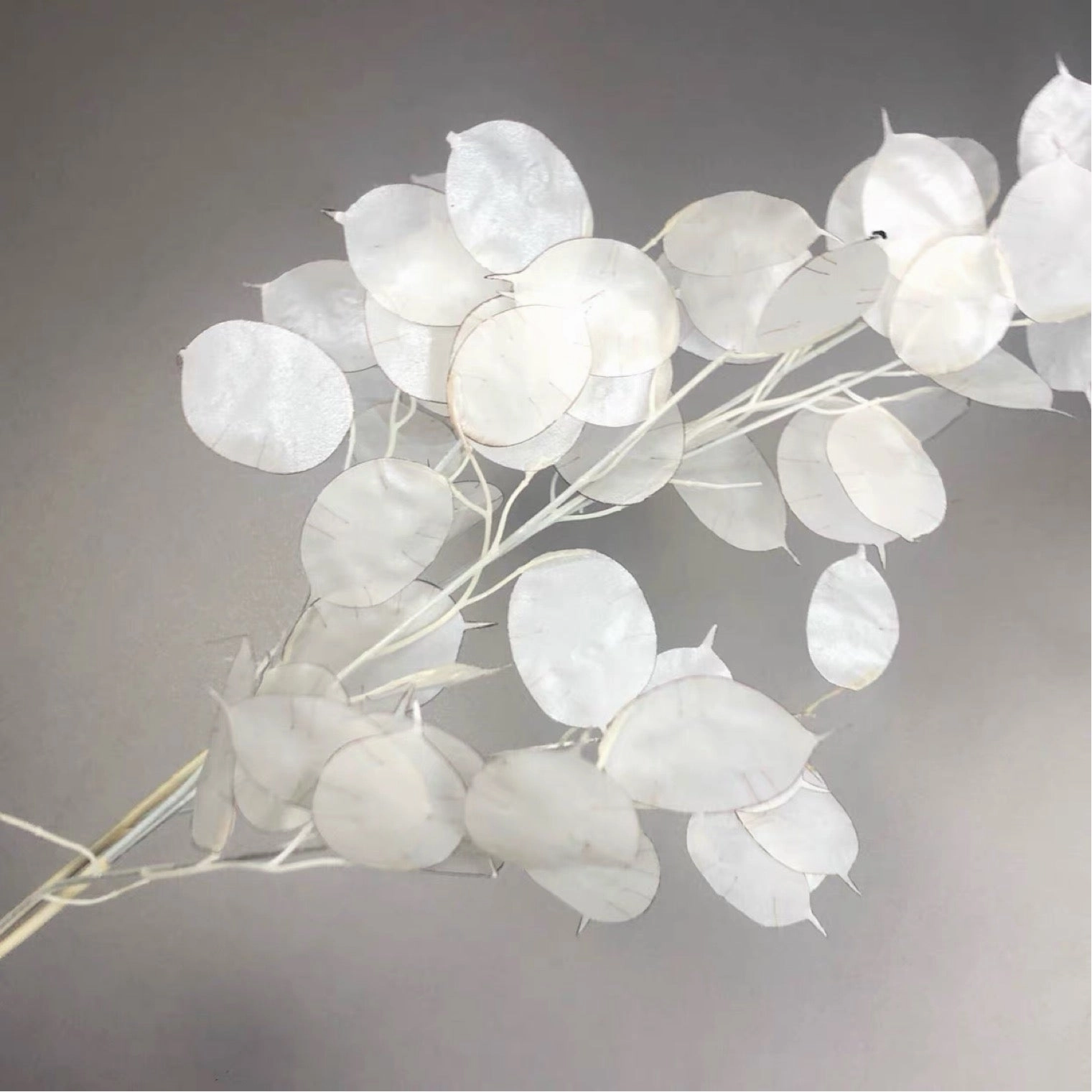 Cream Lunaria money plant artificial flower shell artificial flower bouquet  