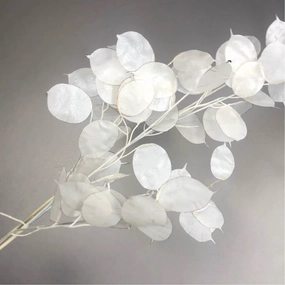 Cream Lunaria money plant artificial flower shell artificial flower bouquet  