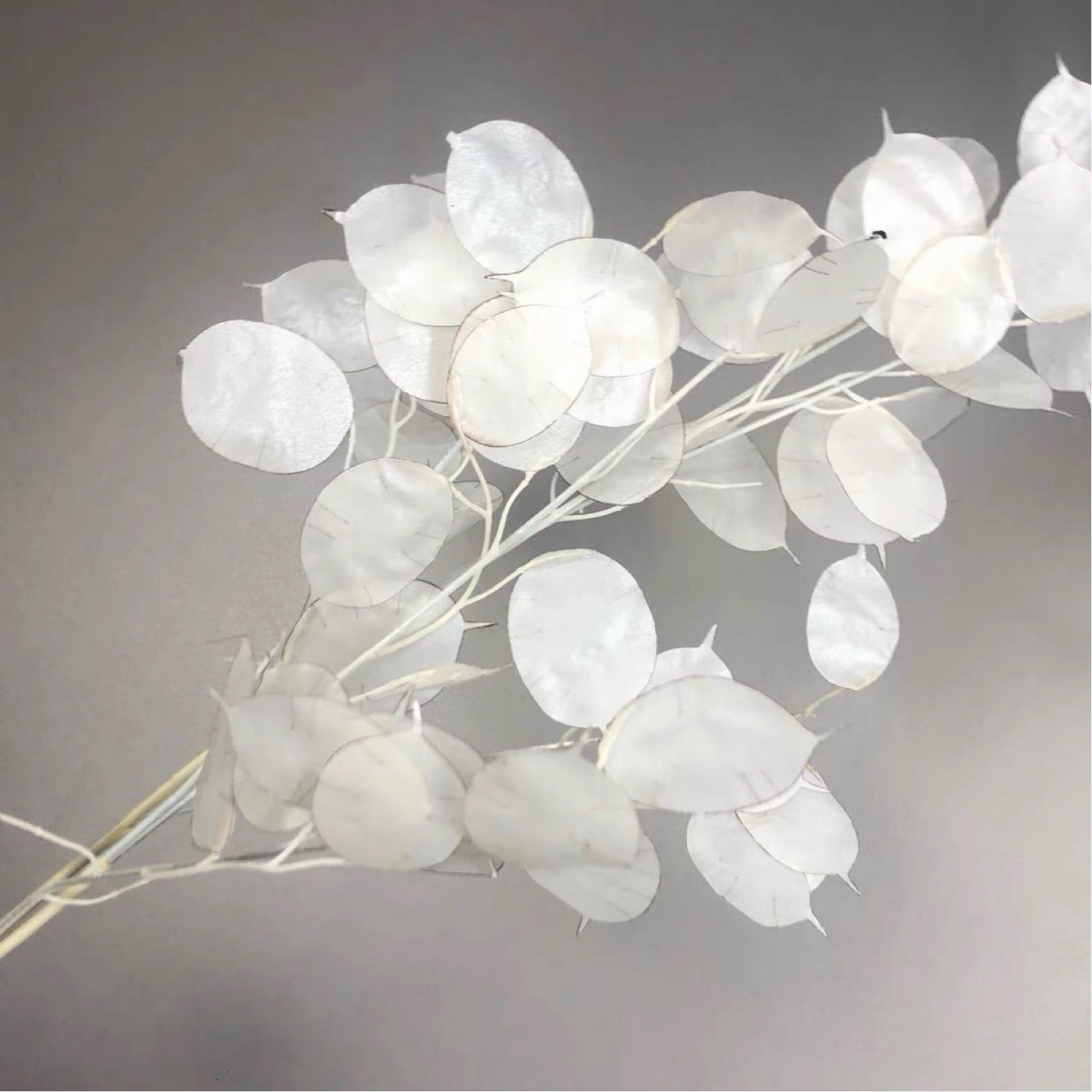 Cream Lunaria money plant artificial flower shell artificial flower bouquet  