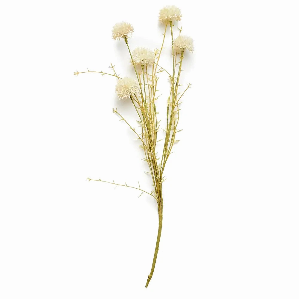Cream Melaleuca Stem 52cm