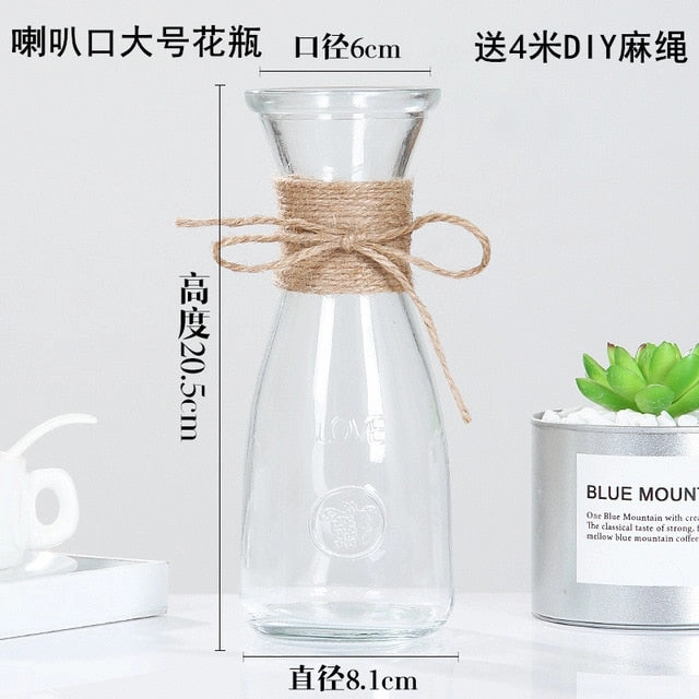 Creative Nordic Glass Vase