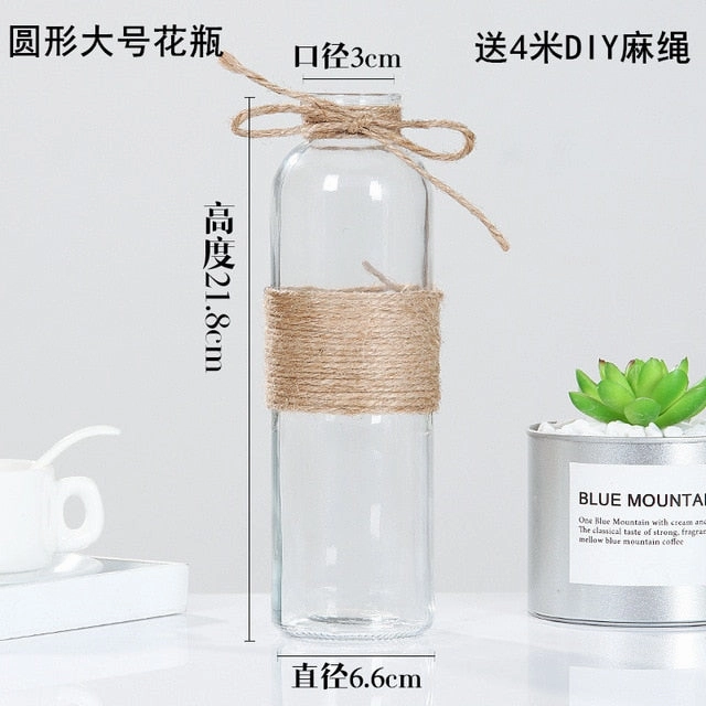 Creative Nordic Glass Vase