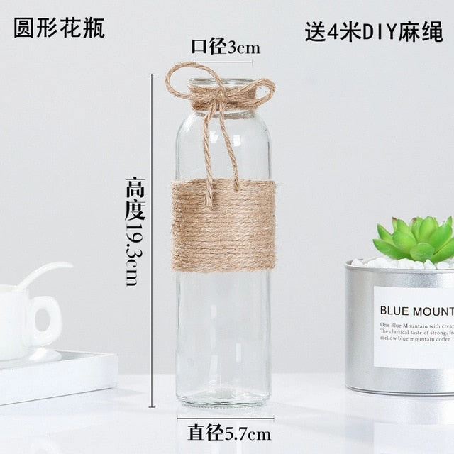Creative Nordic Glass Vase
