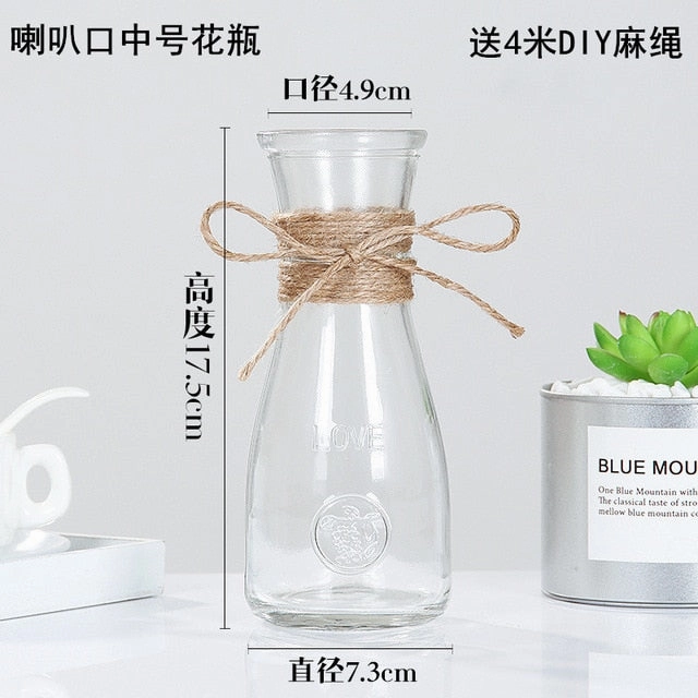 Creative Nordic Glass Vase