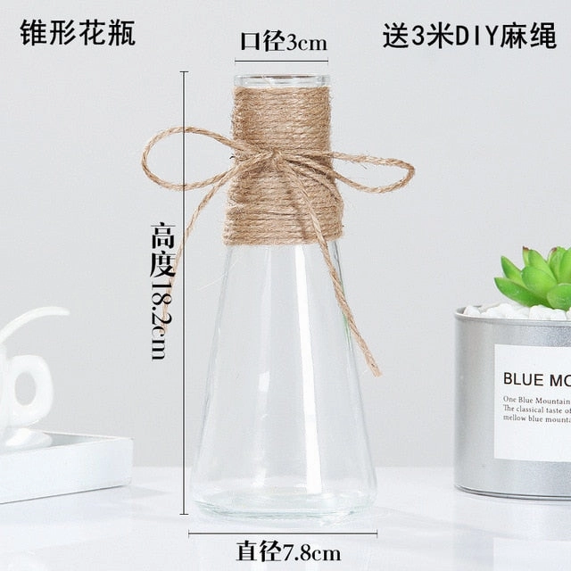 Creative Nordic Glass Vase