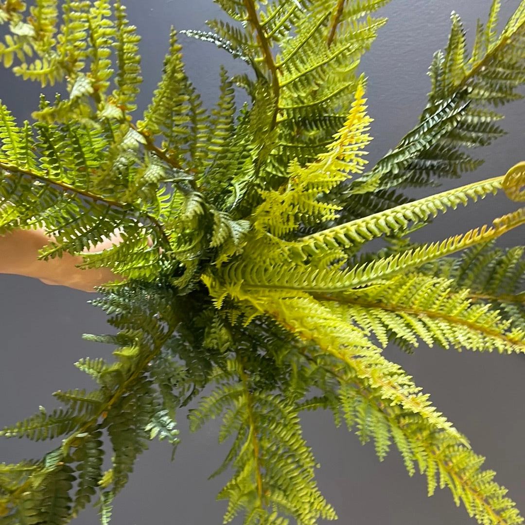 Curly Fern leaf for Wedding home decor