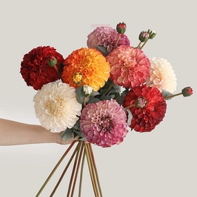 Dahlia Two Heads Artificial Silk Flower 70cm DAHLIA009-017,dried artificial flower