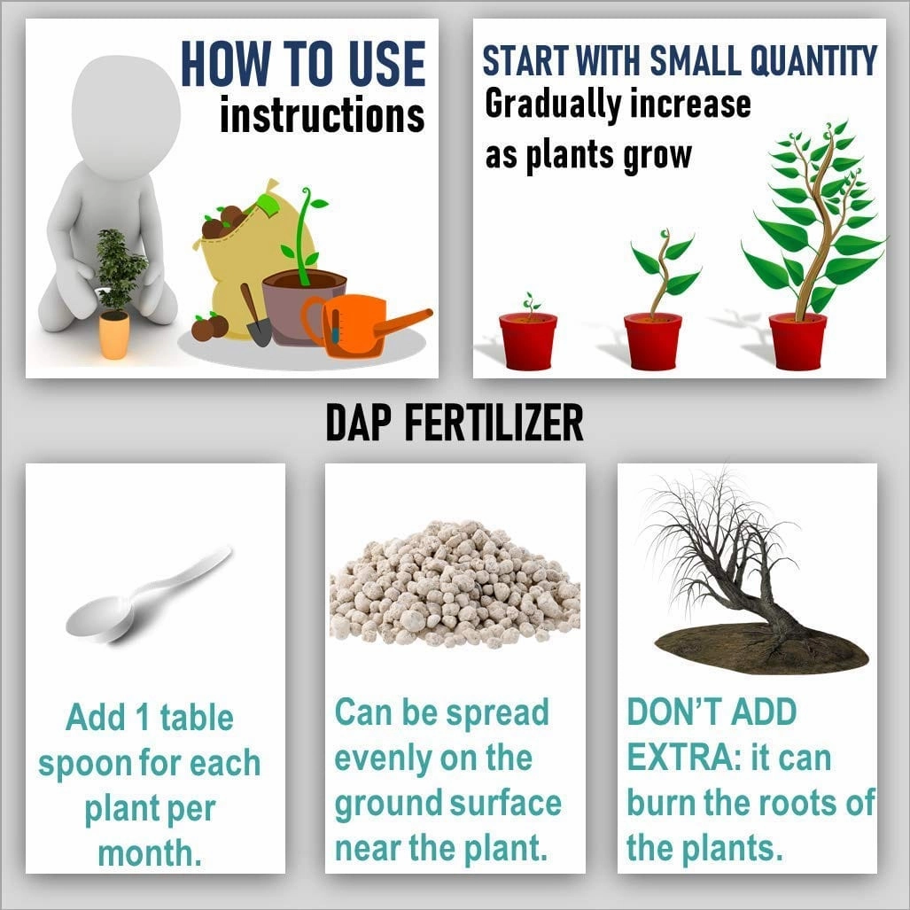 DAP Fertilizer And Potash Fertilizer (MOP)