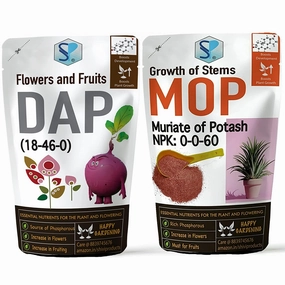 DAP Fertilizer And Potash Fertilizer (MOP),potted plant decor