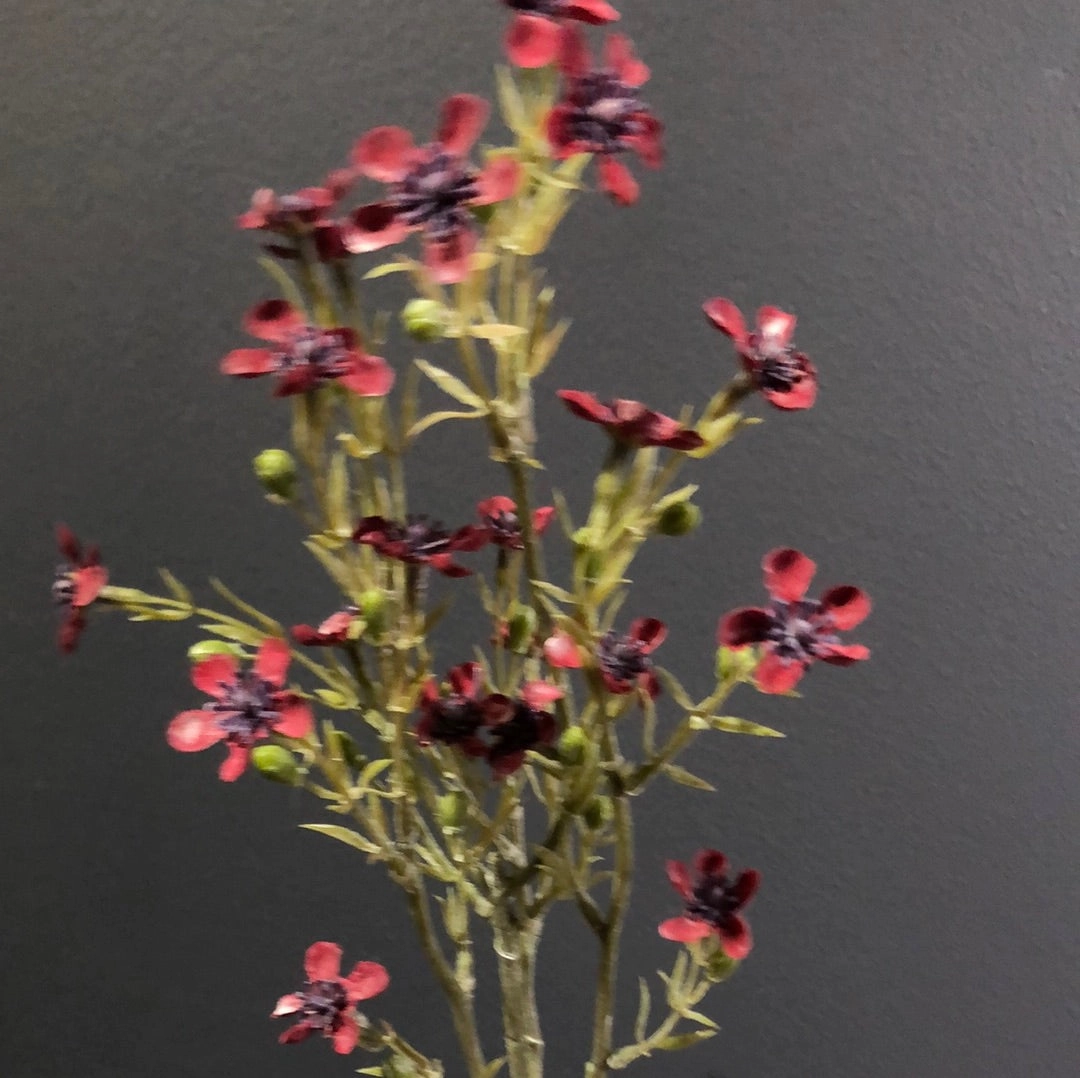 Dark Pink Wax Flower wedding greenery filler for corsage 100209(White)-WAX1