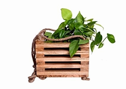 Decorative Wooden Hanging Planter (23 X 23 X 77 cm)