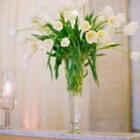 DIY Wedding 20" Clear Pilsner/Cone/Trumpet Vase- XD551-50,aesthetic flower vase