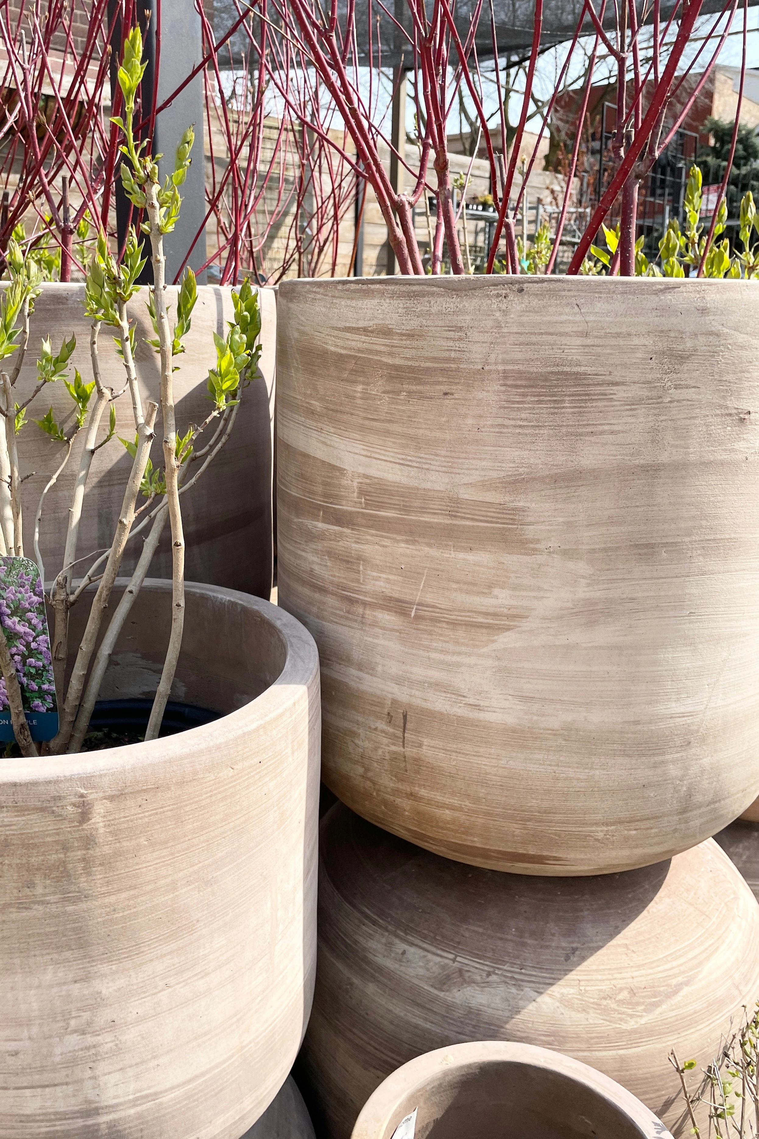 Dora Planter Small