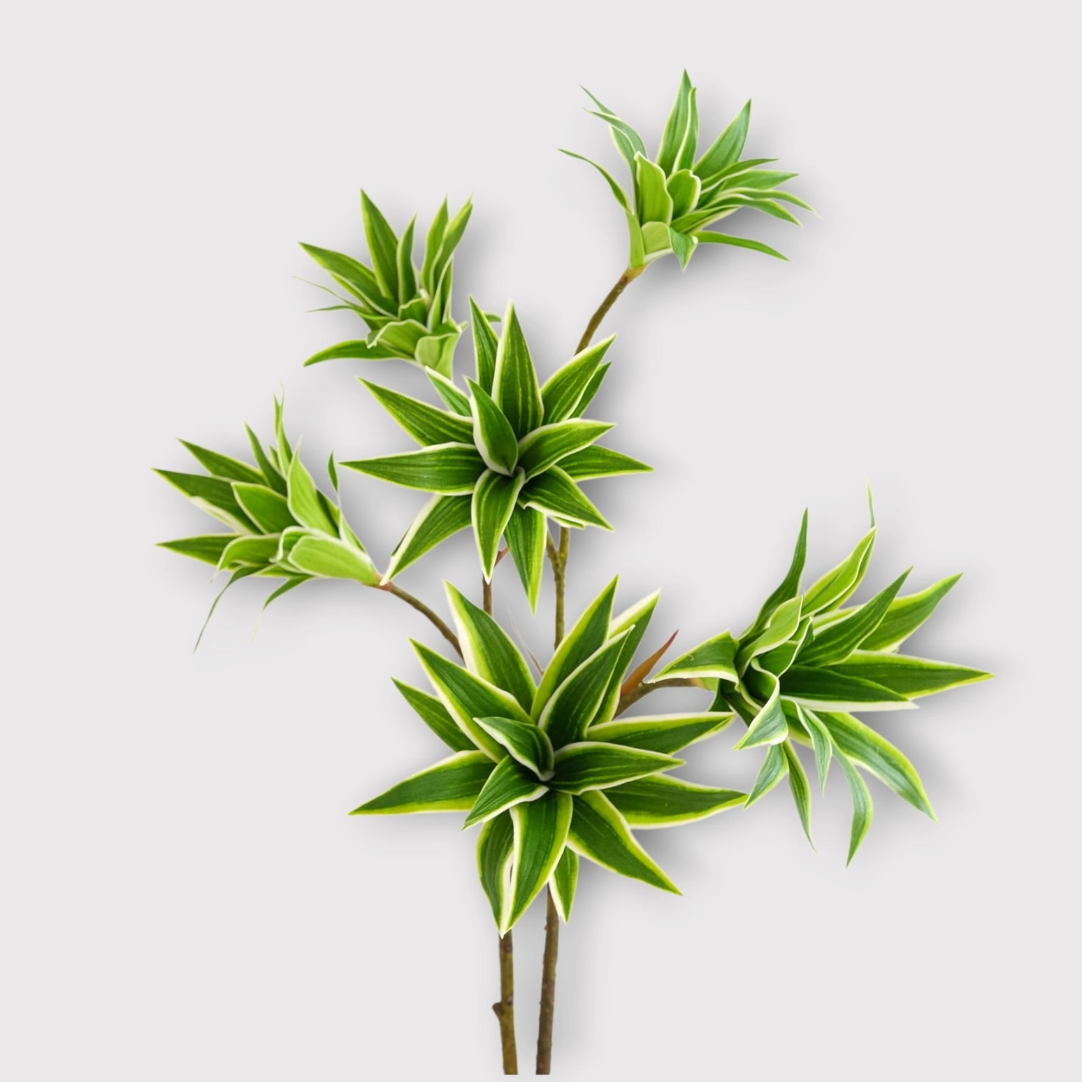 Dracaena Artificial Silk Flowers Green DRACAENA001