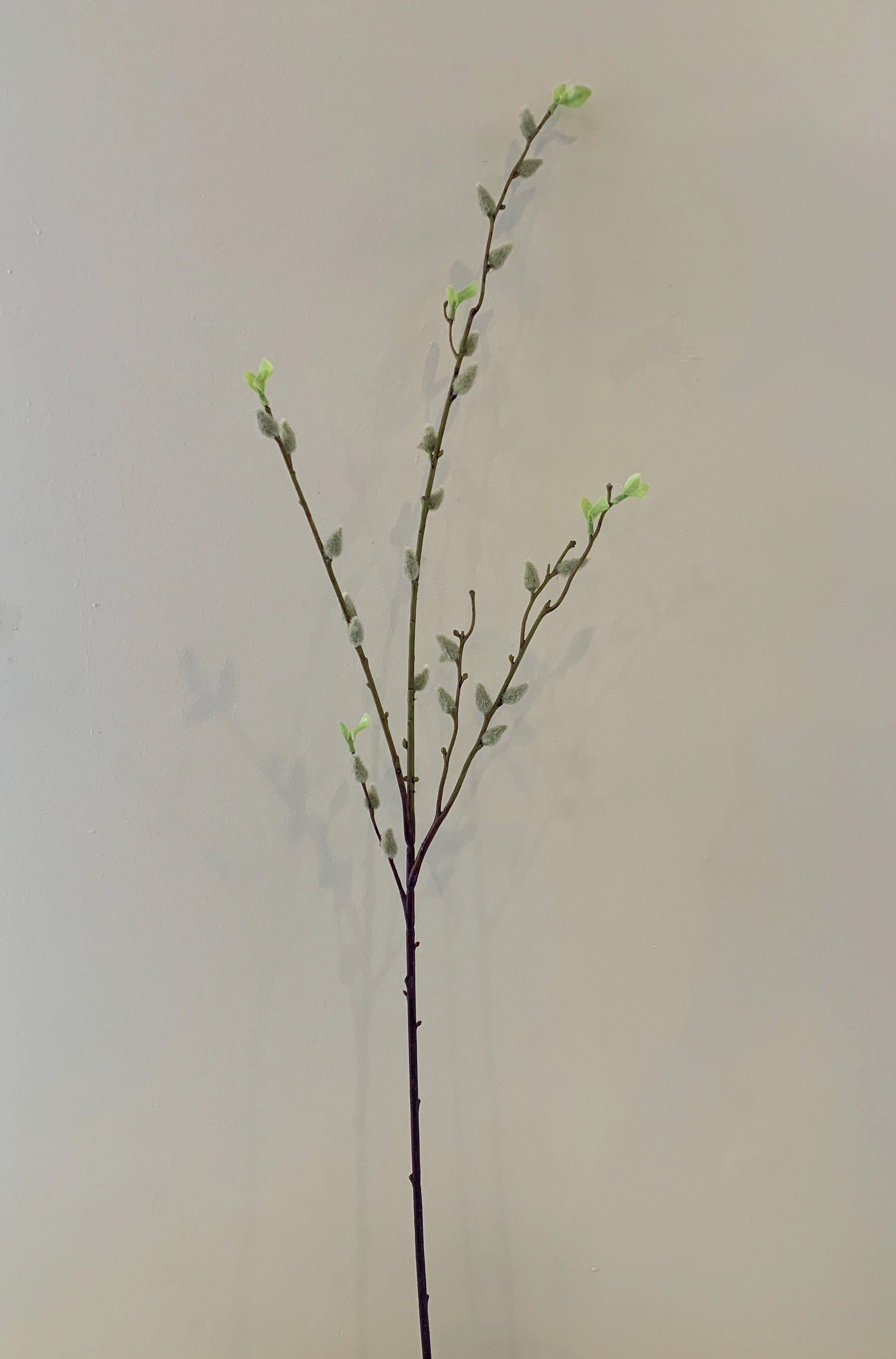DS0044N Pussy Willow 96cm