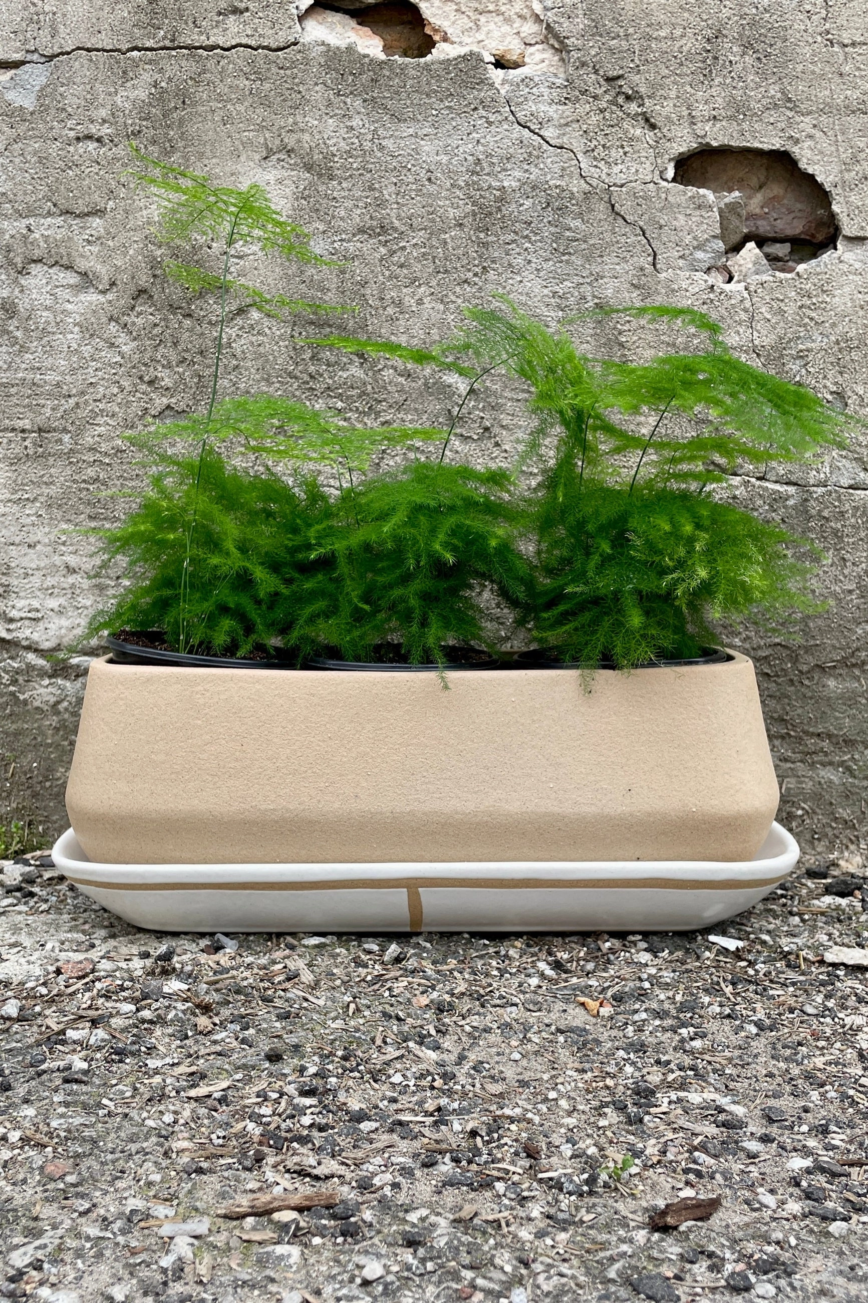 Dublin Planter and Saucer Small