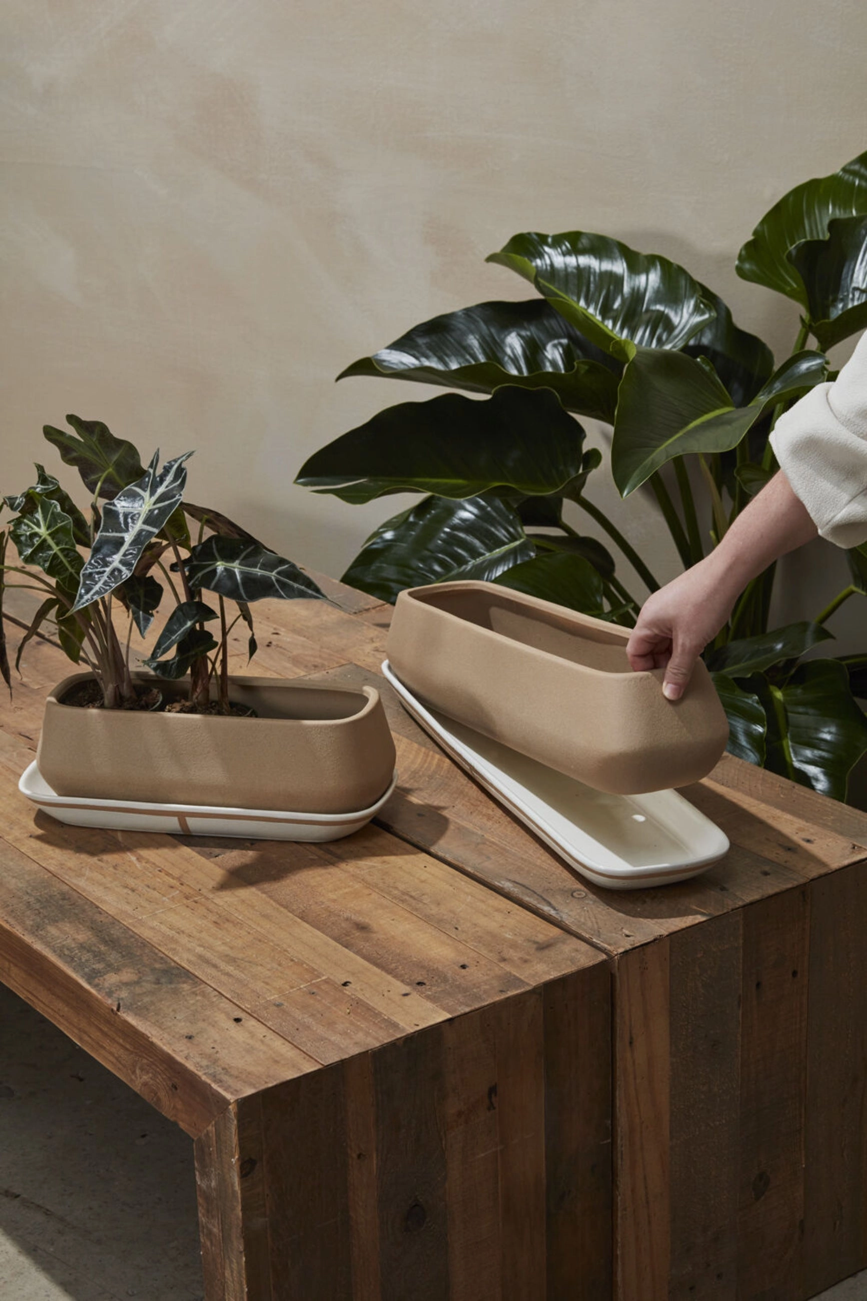 Dublin Planter and Saucer Small