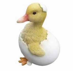 Duck Out Of Shell,garden field mower