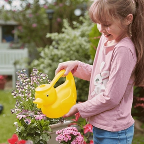 Duck Watering Can,garden field mower