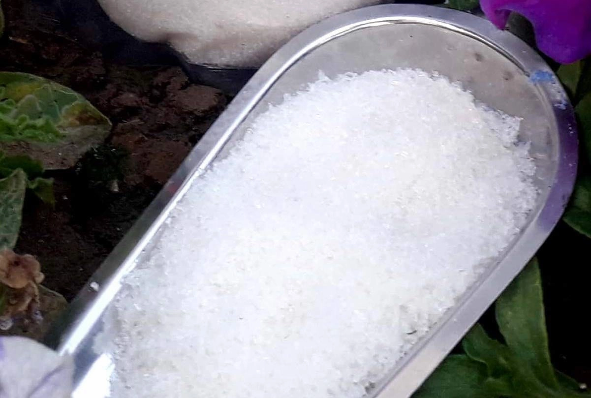 Epsom Salt and Cocopeat Block Free Coriander Seeds