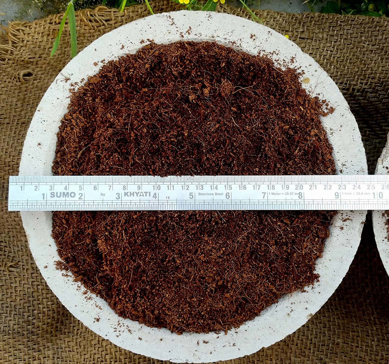Epsom Salt and Cocopeat Block Free Coriander Seeds