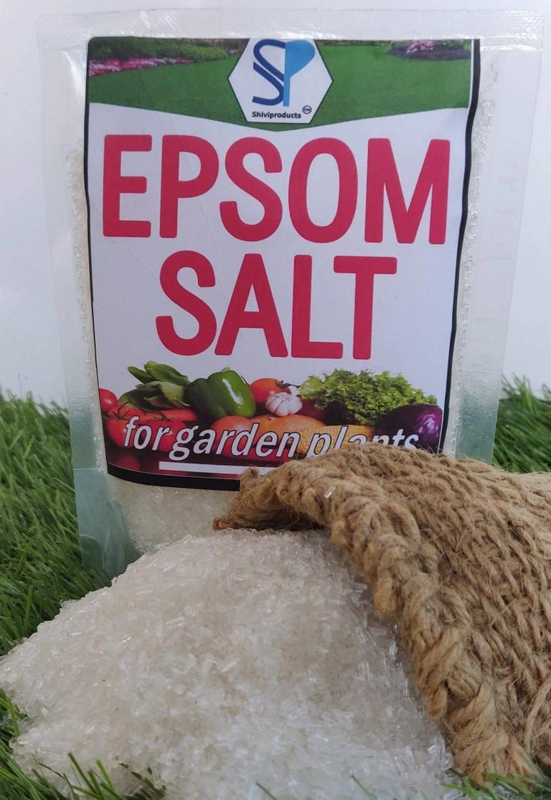 Epsom Salt and Cocopeat Block Free Coriander Seeds