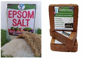 Epsom Salt and Cocopeat Block Free Coriander Seeds,potted plant decor
