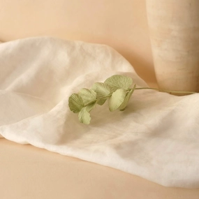 Eucalyptus cinerea en papier vert olive,mother's day bouquet