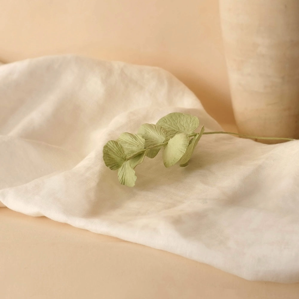 Eucalyptus cinerea en papier vert olive,mother's day bouquet