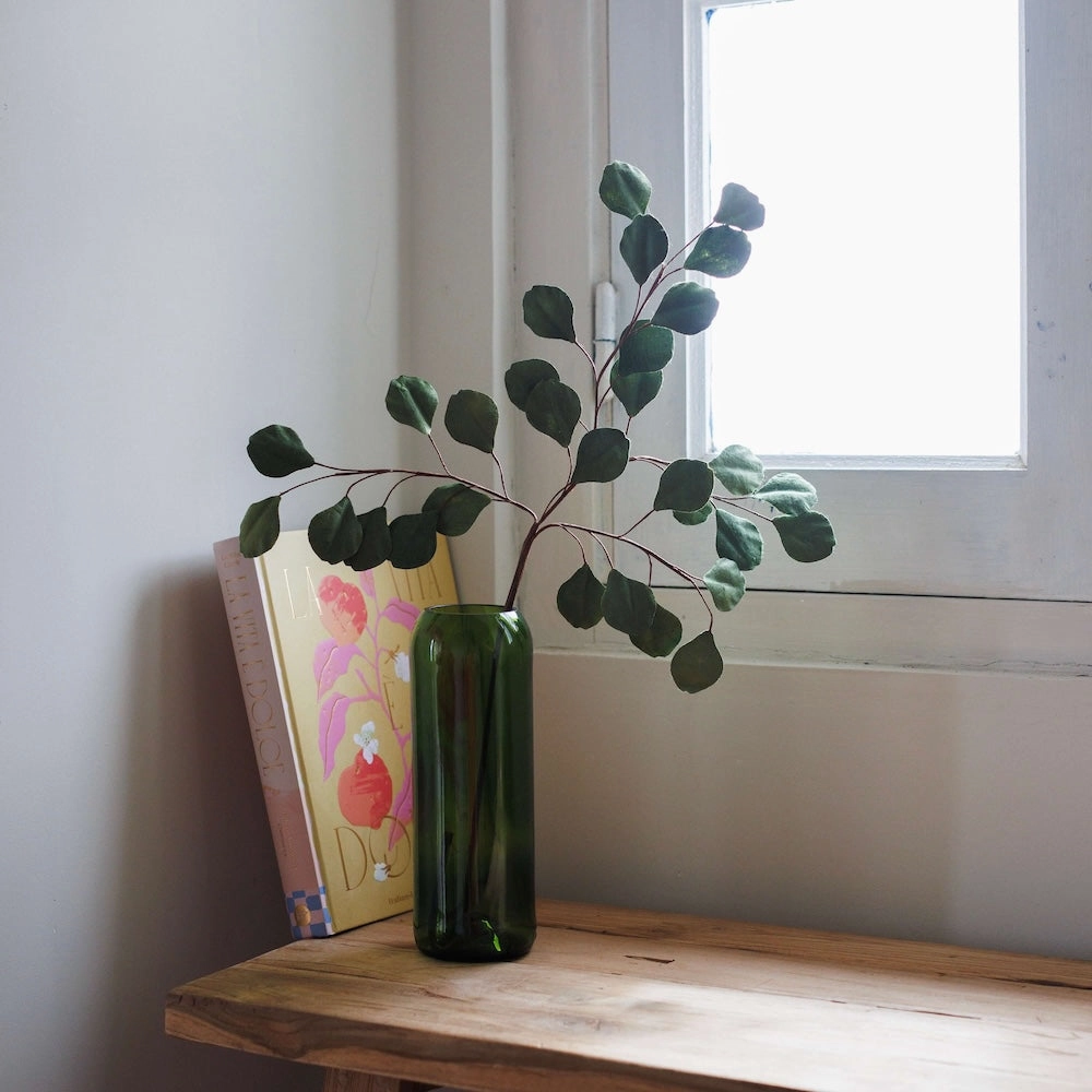 Eucalyptus gum tree en papier vert clair