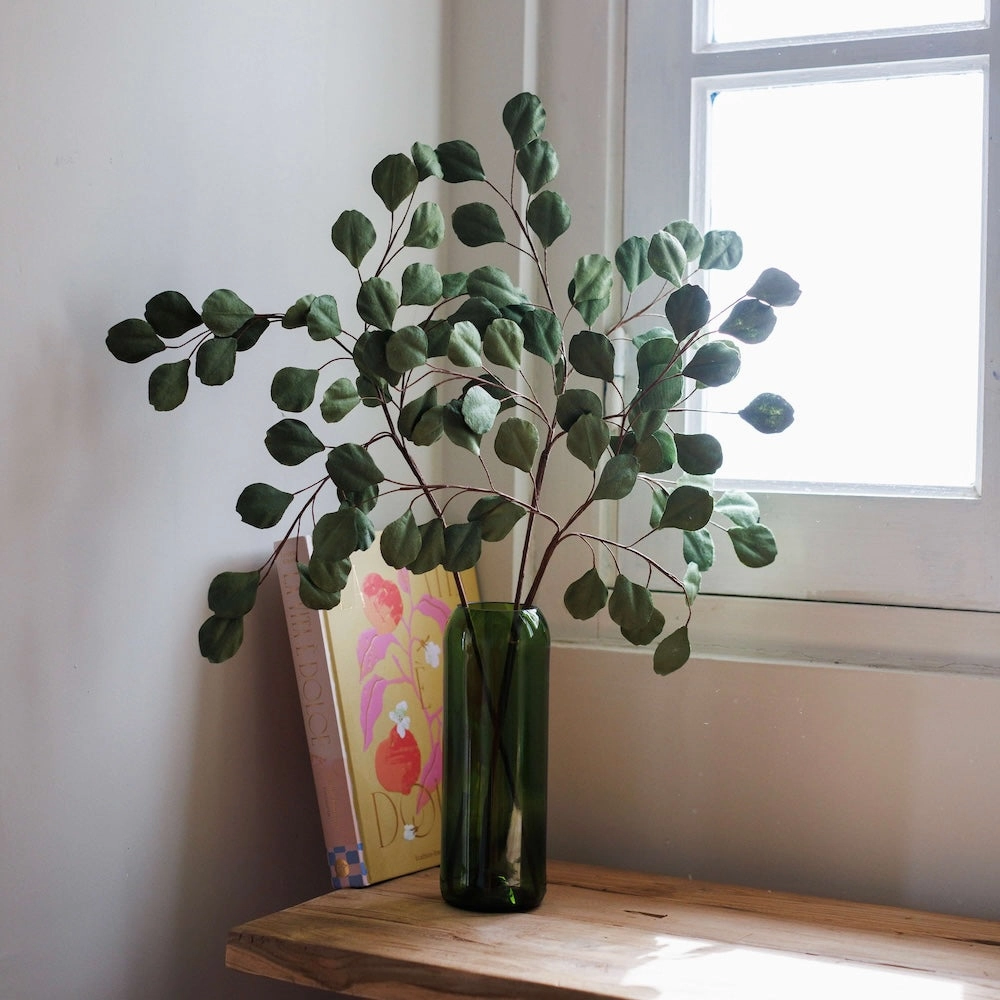Eucalyptus gum tree en papier vert clair