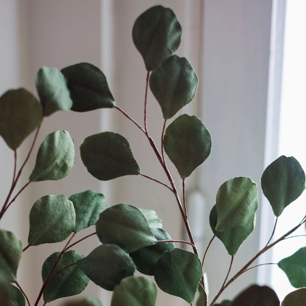 Eucalyptus gum tree en papier vert clair