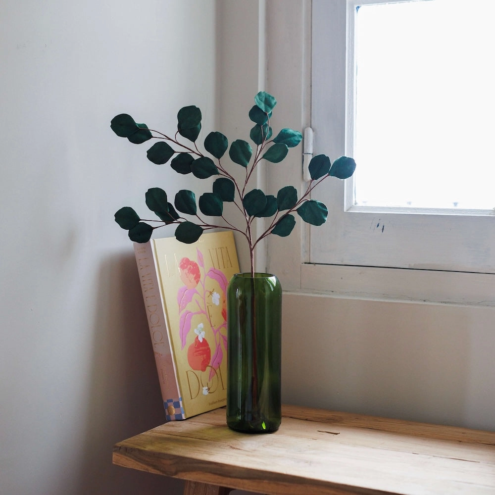 Eucalyptus gum tree en papier vert fort