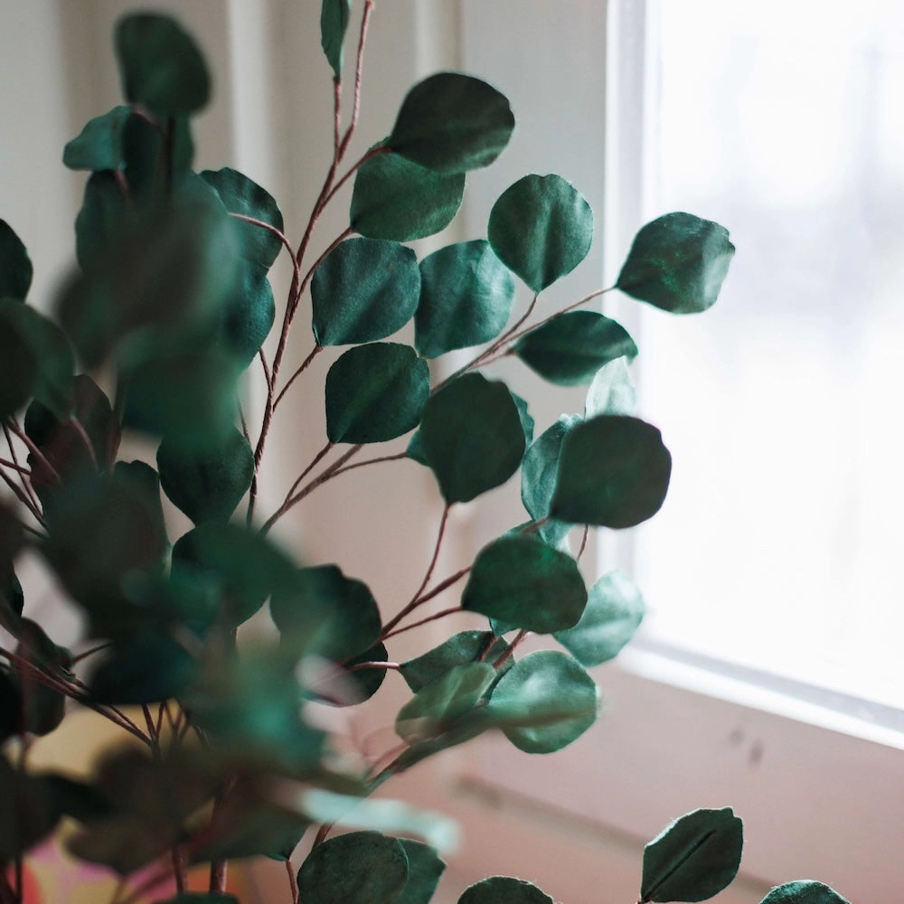 Eucalyptus gum tree en papier vert fort,mother's day bouquet