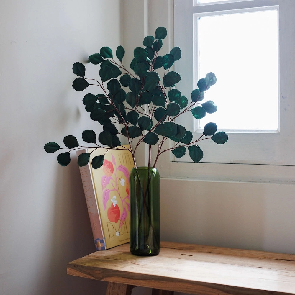 Eucalyptus gum tree en papier vert fort